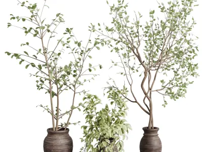 Indoor plant 479 wooden dirt vase plant tree pot 3D model