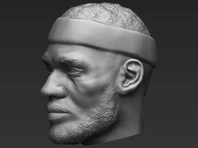 Lebron James standard version only mesh 3D model
