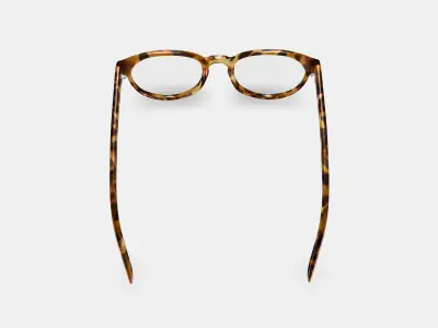 Whalen Eyeglasses in Acorn Tortoise 3D model