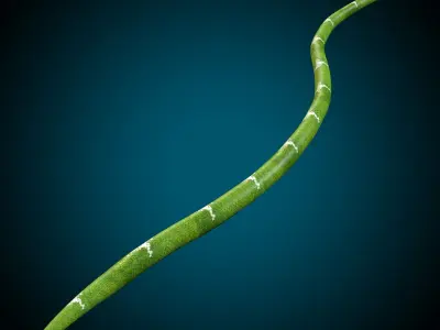 Snake  Low-poly 3D model