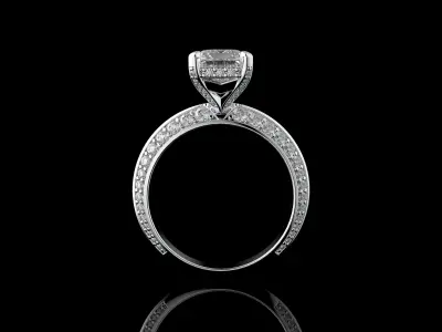 Gold N1306 3D print model