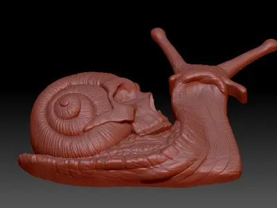Snail skull 3D print model