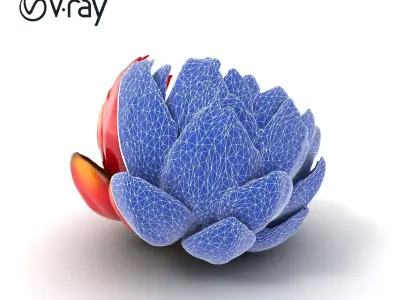 Purple Cornflower Flower Model Pack Low-poly 3D model