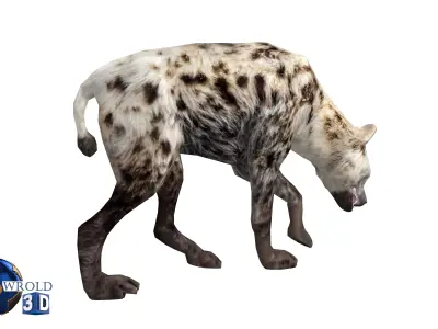 Lowpoly hyena rigged animated 3d model Low-poly 3D model