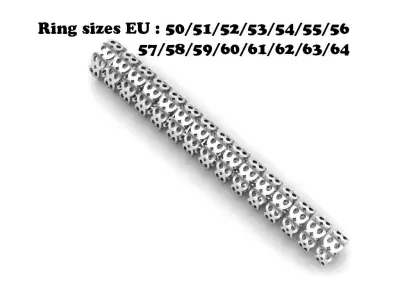 intinty style ring model ring size 50 to 64 3D print model