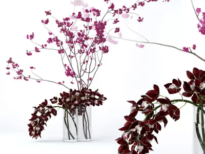 Cymbidium orchid and cherry branches 3D model