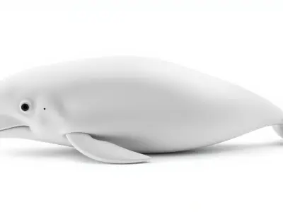 Beluga Whale 3D Model with White Skin and Flexible Neck Low-poly 3D model