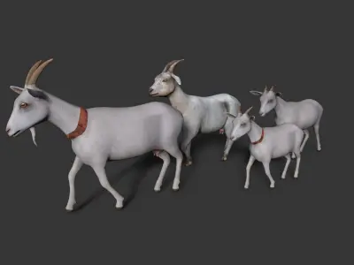 sheep Low-poly 3D model