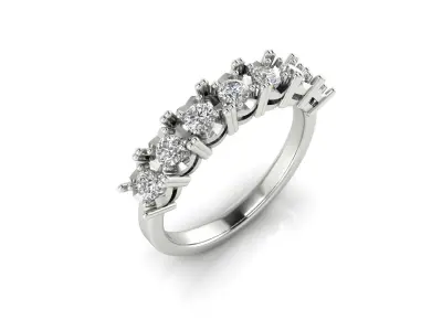 Ring 171 3D print model