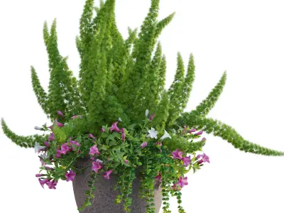 Pot plant 01 3D model