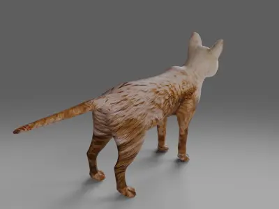 Cat White NO Rigged in Blender  Low-poly 3D model