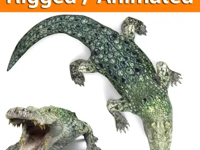 3D Crocodile rigged with animated  Low-poly 3D model