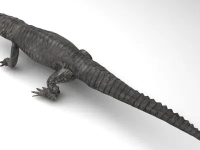 Crocodile 3D model