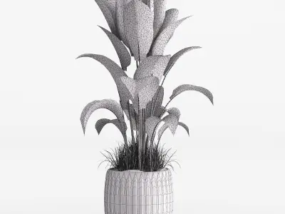 Indoor plant set 04 Low-poly 3D model