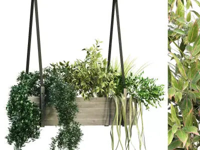 Indoor celling plant box set 197 3D model