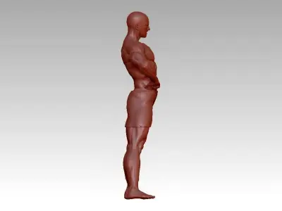 bodybuilding fitness man statue 3D print model