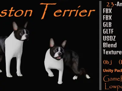 Boston Terrier Dog Low-poly 3D model