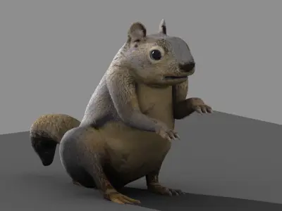squirrel rigged 3D model