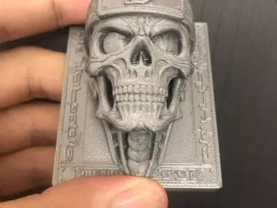 skull 3D print model buy