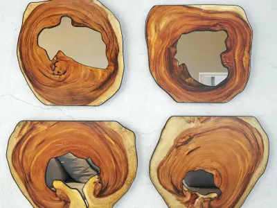 Monkey Pod Mirrors Collection