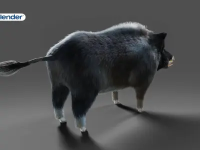 Fur Wild Boar V07 NO Rigged in Blender Low-poly 3D model