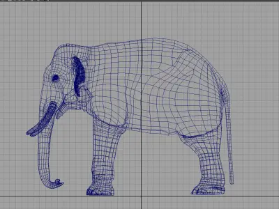 asian elephant 3d rig model 2 3D model