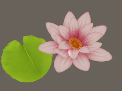 Stylized Water Lily Free low-poly 3D model