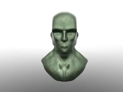 Corroded Bronze Head Free 3D model