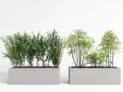 Potting Plant Modern Green 3D model