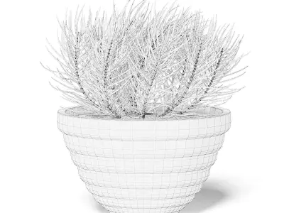 Plant in Black Pot 3D Model 3D model