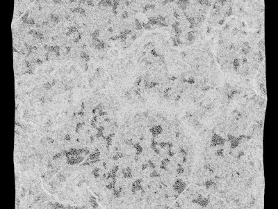 518-RockPanel piece of rock 3D model