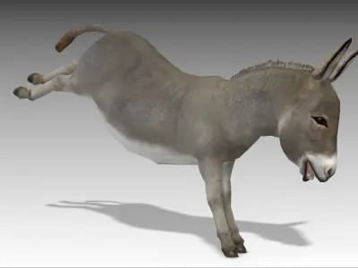 Donkey Low-poly 3D model