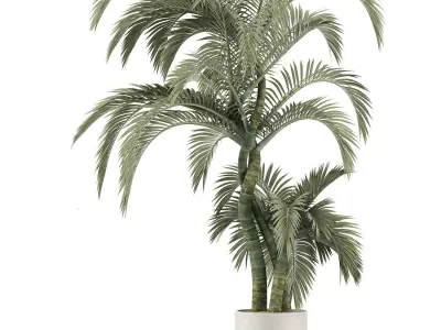 Plants Collection 137 Exterior Plant 3D model