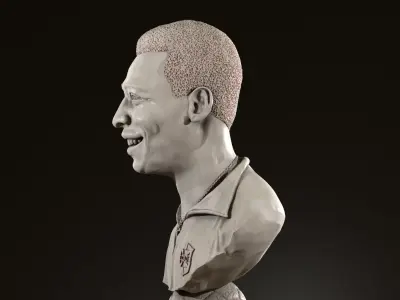Pele 3D Bust for printing 3D print model