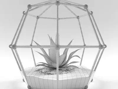 Florarium Decorate Free 3D model