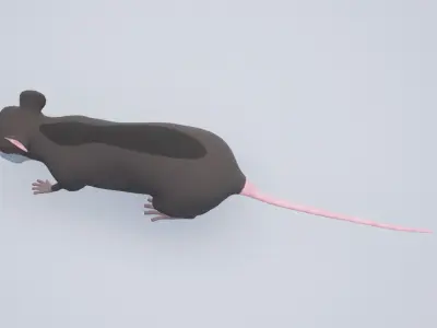 Cartoon Rat Low-poly 3D model