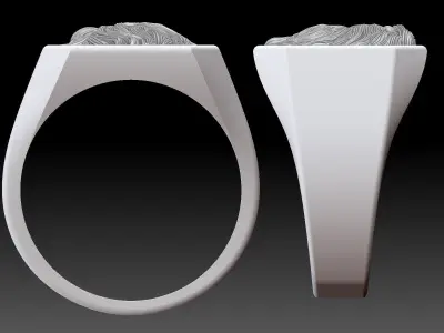 Eagle Head Cushion Man Ring Sculpture Jewelry Silver Gold  Print 3D print model