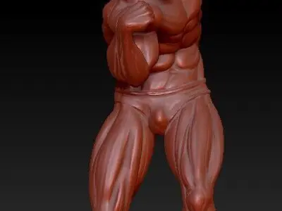 The statue of a Bodebuilder 3D print model