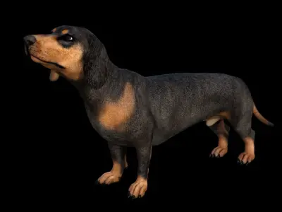 5 stand alone obj-10 3D model