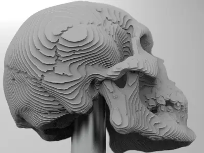 skull decoration 3D model
