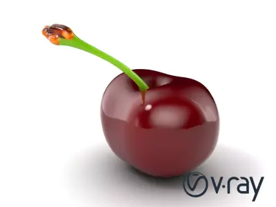 Realistic Cherry with Dark Red Glossy Texture model pack Low-poly 3D model