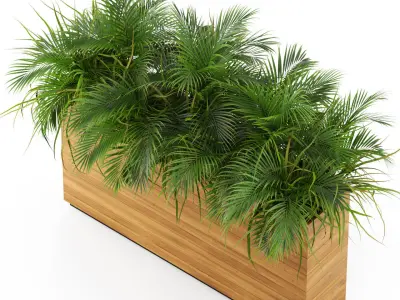 Plants collection 462 3D model