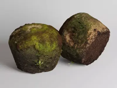Mossy rock 3D model