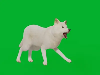 Arctic Polar Wolf Low-poly 3D model