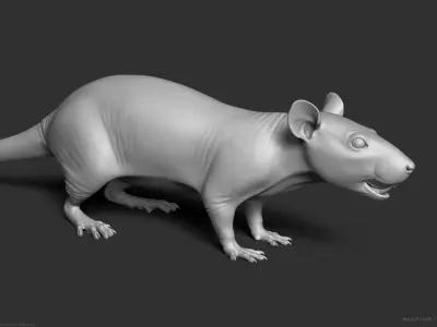 Rat - Highpoly Sculpture 3D model