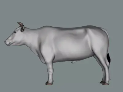 Bull  3d Model 3D model