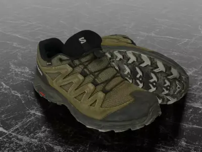 SALOMON X WARD LEATHER 3D SHOES 3D model