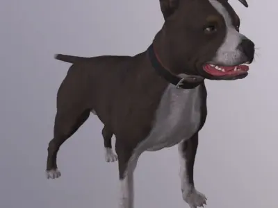 Dog Rigged Low-poly 3D model