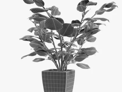 Realistic Plant Garden 3D model