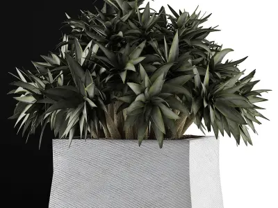Plants Collection 51 3D model